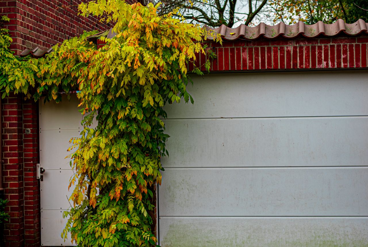 That Noise Your Garage Door Is Making Isn't Nothing